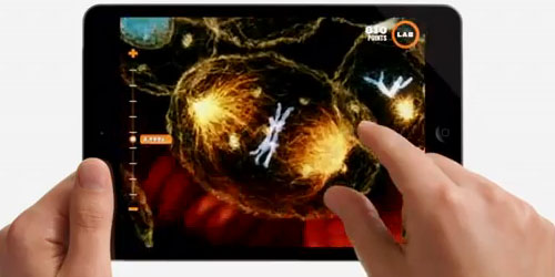POMT in iPad 'Alive'