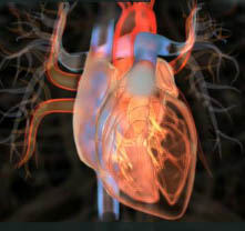 Heart Zoom